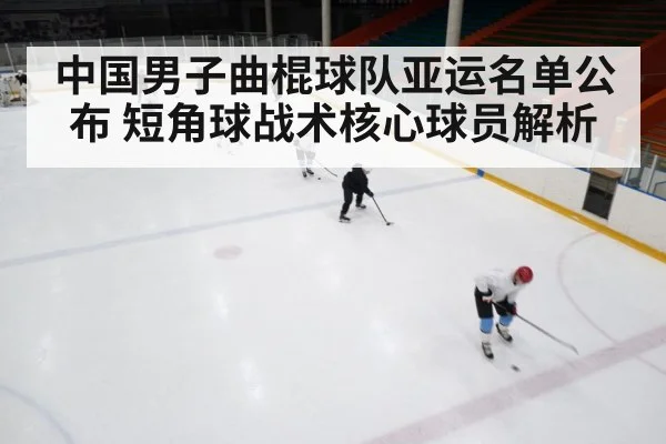 中国男子曲棍球队亚运名单公布 短角球战术核心球员解析